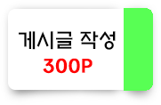 글작성 300포인트